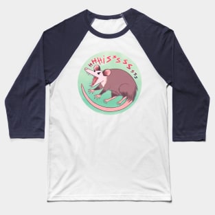 Externally Hissing Baseball T-Shirt